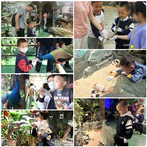 1685408762431872.jpg 微信圖片_20230530090348_副本.jpg